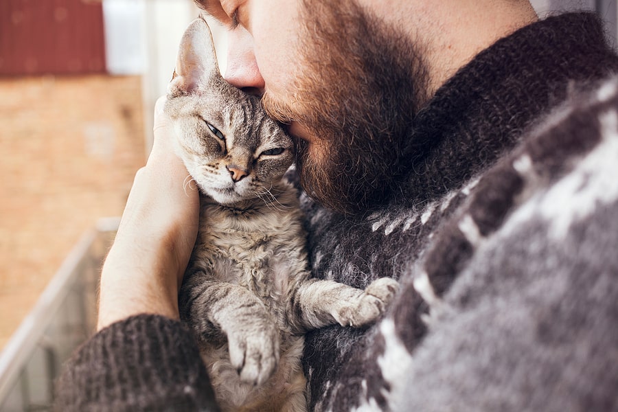 The Difference Between Service, Emotional Support Animals and Pets